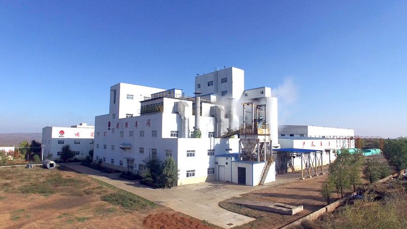 新型能源公司:创值增盈激活力,一季度营收利润创新高